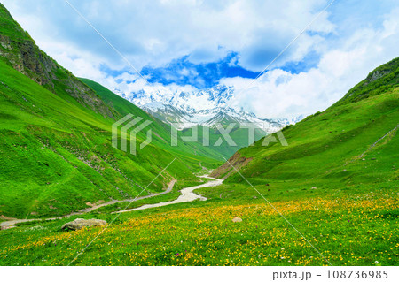 Green pasture and Patara enguri river against highest georgian mountain Shkhara near Ushguli in Georgia. 108736985