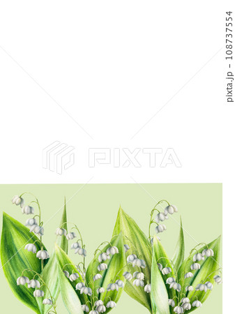 Watercolor postcard with bouquet of lilies of the valley flowers isolated on white background. Spring hand painted illustration. For designers, wedding, decoration, postcards, wrapping paper, Watercolor postcard with bouquet of lilies of the valley flowers isolated on white background. Spring hand painted illustration. For designers, wedding, decoration, postcards, wrapping paper, 108737554