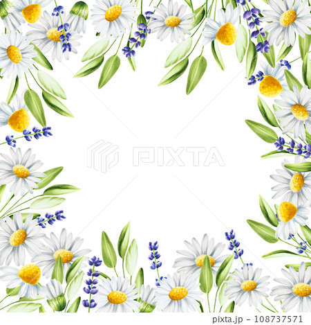 Watercolor frame, template with lavender, sage and chamomiles illustration isolated on white background. Detail of beauty products and botany set, cosmetology and medicine. For designers, spa 108737571