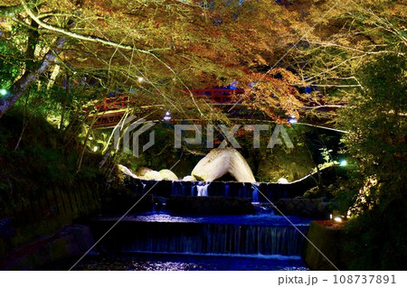 岩屋堂の紅葉!夜に浮かび上がる美しい紅葉 岩屋堂の紅葉!夜に浮かび上がる美しい紅葉 108737891