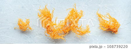 Irish sea moss panorama. Chondrus Crispus, healthy organic raw seaweed Irish sea moss panorama. Chondrus Crispus, healthy organic raw seaweed 108739220