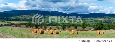 roll of hay lying on the background of a beautiful landscape 108739734