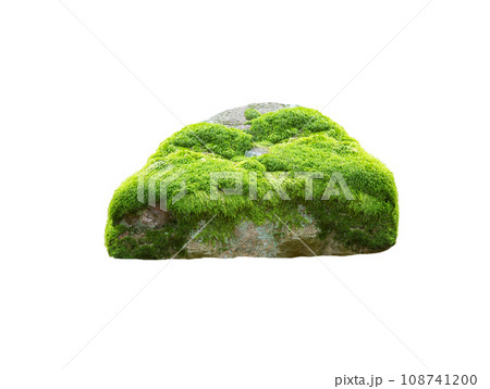 stone covered with moss isolated on white background stone covered with moss isolated on white background 108741200