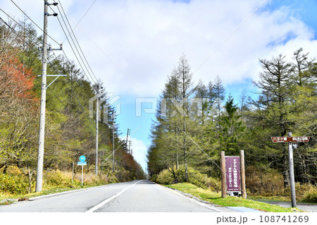 蓼科山 女乃神茶屋(すずらん峠)登山口 周辺(長野県茅野市)【2020.5】 108741269