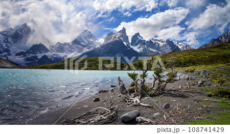 Torres del Paine National Park - Patagonia - Chile 108741429