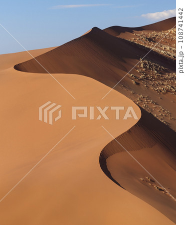Sand dunes in the Namib Desert - Namibia 108741442