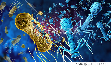 Bacteriophage and Phage Replicating Killing Bacteria 108743379