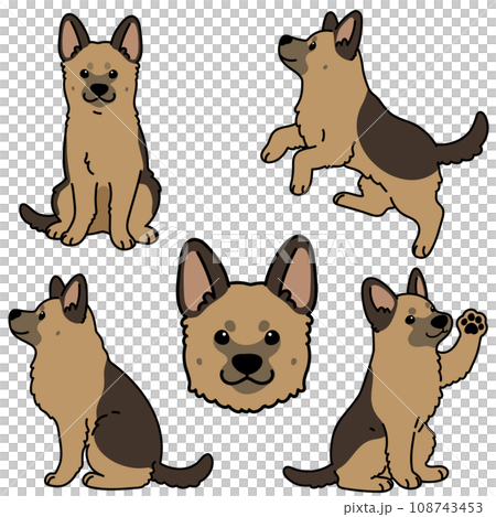 簡單可愛的德國牧羊犬插畫集，帶有主線 108743453