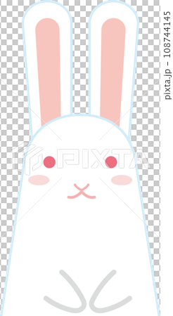 白うさぎ 白うさぎ 108744145