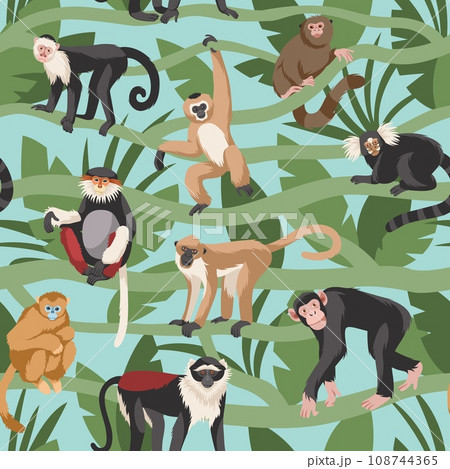Monkeys seamless pattern. Tropical forest with lianas and different breeds funny primates, various poses in leaves, childish textile, wrapping paper, wallpaper design. Tidy vector background Monkeys seamless pattern. Tropical forest with lianas and different breeds funny primates, various poses in leaves, childish textile, wrapping paper, wallpaper design. Tidy vector background 108744365