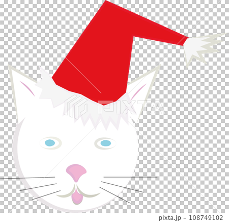 The head of a white cat in a red Christmas hat. The concept of Christmas, New Year 108749102