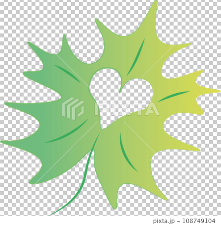 Maple green leaf with a heart cut out. The concept of love, ecology Maple green leaf with a heart cut out. The concept of love, ecology 108749104
