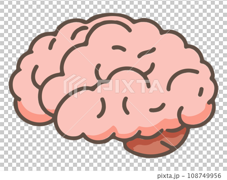 Simple color illustration of the human brain 108749956