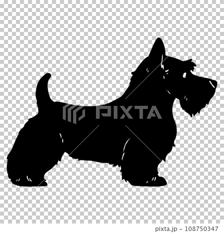 Scottish terrier silhouette with face Scottish terrier silhouette with face 108750347