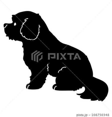 お座りするマルチーズのシルエット　顔付き 108750348