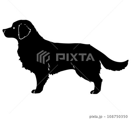 ゴールデンレトリーバーのシルエット　顔つき 108750350