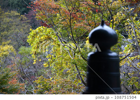 長谷寺 本堂欄干の擬宝珠 奈良県桜井市初瀬 長谷寺 本堂欄干の擬宝珠 奈良県桜井市初瀬 108751504