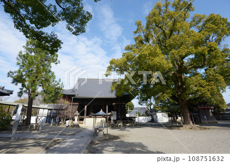 斑鳩寺 境内 兵庫県揖保郡太子町鵤 斑鳩寺 境内 兵庫県揖保郡太子町鵤 108751632