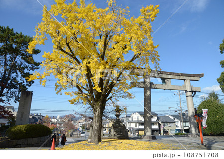 豊国神社　鳥居　京都市東山区 108751708