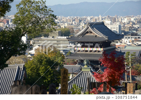 秋の金戒光明寺　山門　京都市左京区黒谷 108751844