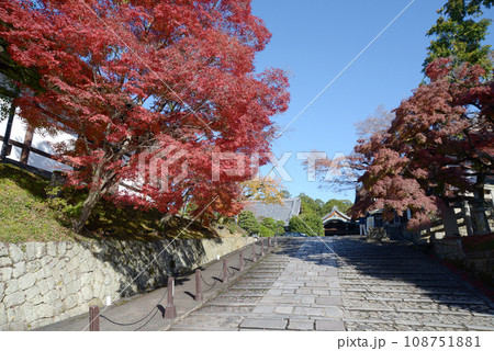 秋の金戒光明寺 境内の紅葉 京都市左京区黒谷 秋の金戒光明寺 境内の紅葉 京都市左京区黒谷 108751881