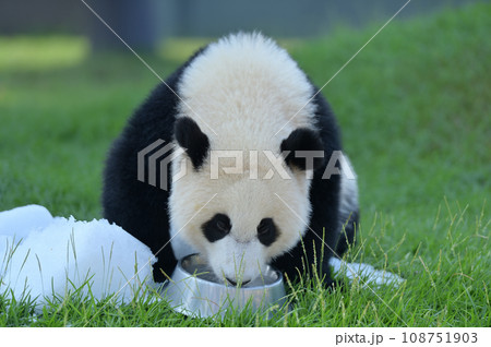 優浜のミルクタイム 108751903