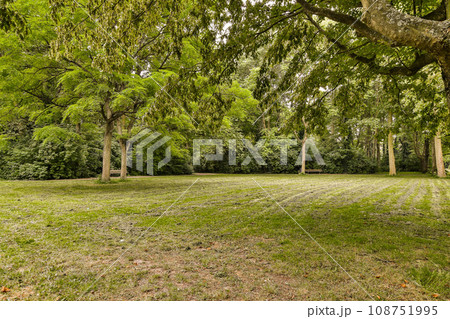 an empty grassy field with trees and grass in the foreground stock image for commercial use only on this site an empty grassy field with trees and grass in the foreground stock image for commercial use only on this site 108751995