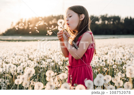 Gorgeous girl stand surrounded by white dandelions and blow flowers. Seeds of blooming flying through air at sunset. 108752078