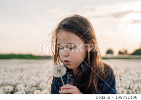 Adorable little lady standing in meadow full of white dandelions with one flower in hand, going to blow fluffy seeds. Adorable little lady standing in meadow full of white dandelions with one flower in hand, going to blow fluffy seeds. 108752100