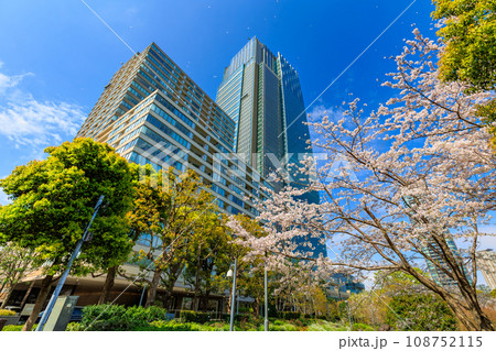 東京　港区 赤坂　東京ミッドタウンと満開の桜 108752115