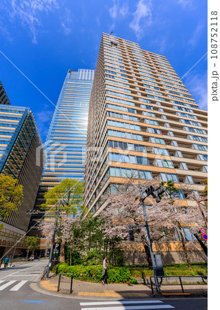 東京　港区 赤坂　東京ミッドタウンと満開の桜 108752118