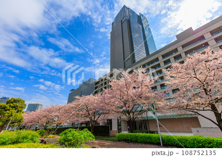 東京　港区 赤坂　東京ミッドタウンと満開の桜 108752135