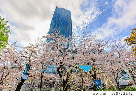 東京　港区 赤坂　東京ミッドタウンと満開の桜 108752140