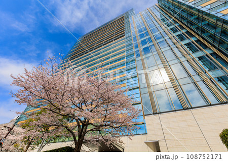 東京　港区 赤坂　東京ミッドタウンと満開の桜 108752171