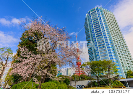 東京　港区 芝公園の都市風景　東京タワーとザ・プリンス パークタワー東京 108752177