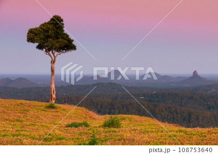 One Tree Hill in Queensland Australia One Tree Hill in Queensland Australia 108753640