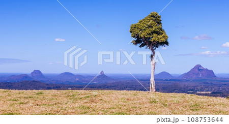 One Tree Hill in Queensland Australia One Tree Hill in Queensland Australia 108753644