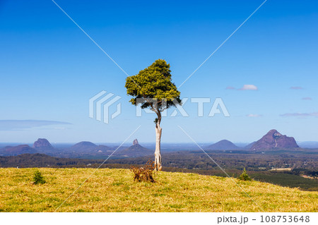 One Tree Hill in Queensland Australia One Tree Hill in Queensland Australia 108753648