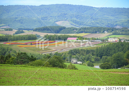 北海道 美瑛の「四季彩の丘」を遠くに見る 北海道 美瑛の「四季彩の丘」を遠くに見る 108754598