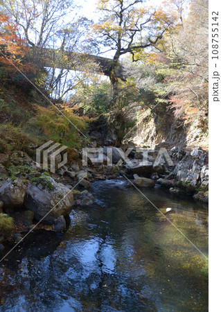 あまがたに渓谷の紅葉 あまがたに渓谷の紅葉 108755142