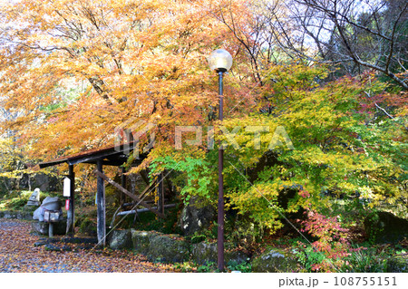あまがたに渓谷の紅葉 あまがたに渓谷の紅葉 108755151