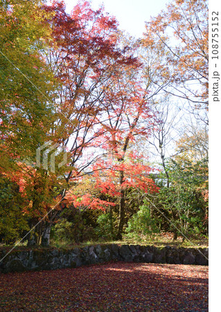 あまがたに渓谷の紅葉 あまがたに渓谷の紅葉 108755152