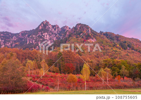 あきのみずがき自然公園から夕焼けの瑞牆山と紅葉 108755605