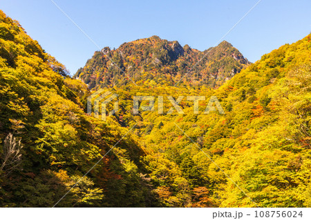 西沢渓谷から紅葉の鶏冠山 108756024