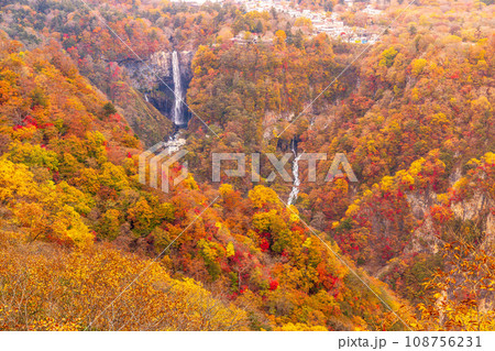 紅葉の明智平展望台から華厳の滝 108756231