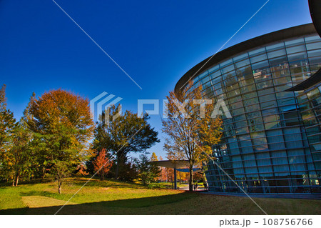 紅葉を迎えた市立美術館 紅葉を迎えた市立美術館 108756766
