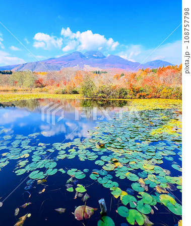妙高を代表する観光スポット 晩秋の妙高山といもり池の紅葉 108757798