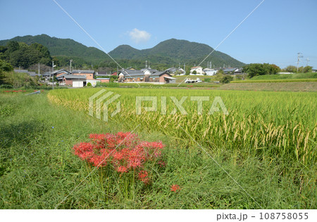 当麻寺　二上山　奈良県葛城市當麻 108758055