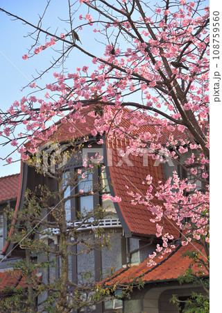 《愛知県》名古屋都市風景 東区泉オオカンザクラの並木道 《愛知県》名古屋都市風景 東区泉オオカンザクラの並木道 108759560