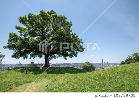 清水ヶ丘公園 横浜市南区清水ヶ丘 清水ヶ丘公園 横浜市南区清水ヶ丘 108759709